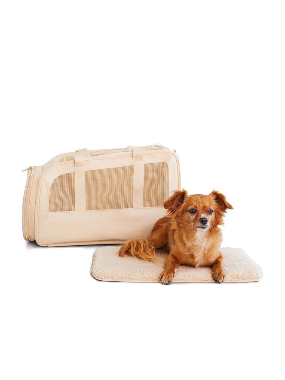 Beis Pet Travel Carrier